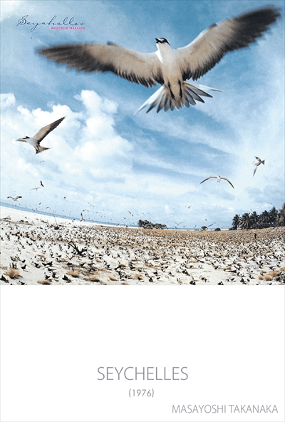 SEYCHELLES」「TAKANAKA」「AN INSATIABLE HIGH」「SUPER TAKANAKA