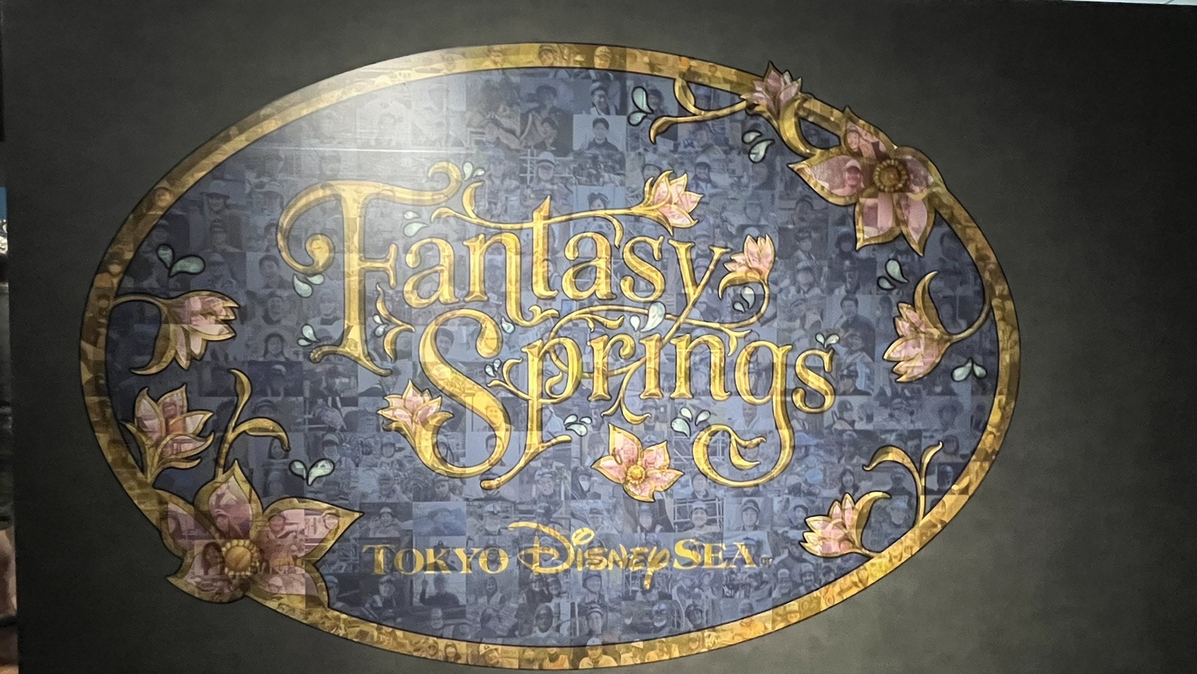 画像付き詳細レポ】ファンタジースプリングス ニューチャプター