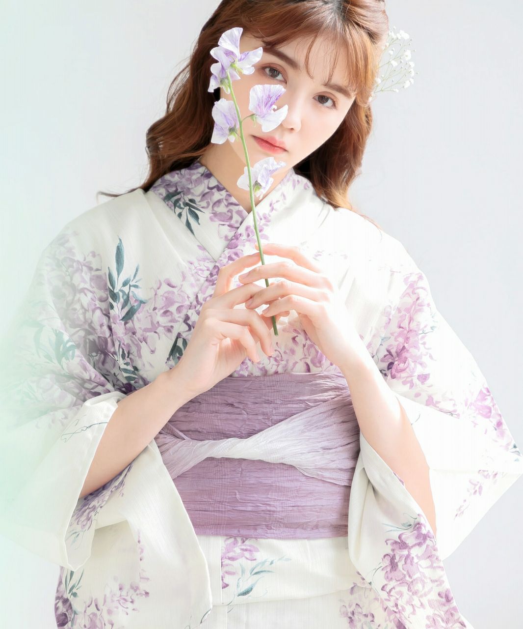 藤(ふじ) | Dita（ディータ）オフィシャルストア