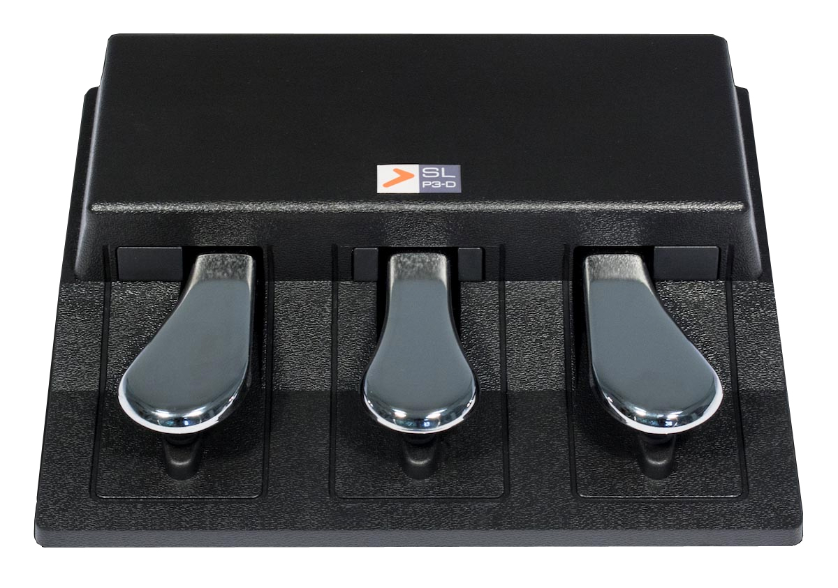 SLP3-D - Dirigent | ディリゲント