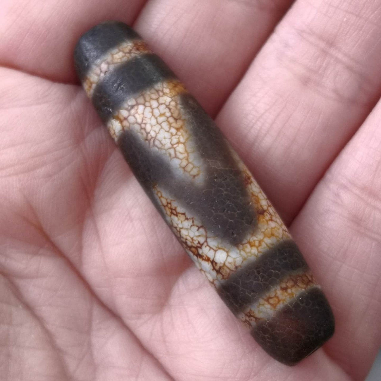 西藏真品带鑑定証书龙鳞纹双线虎牙老天珠- DZI BEADS