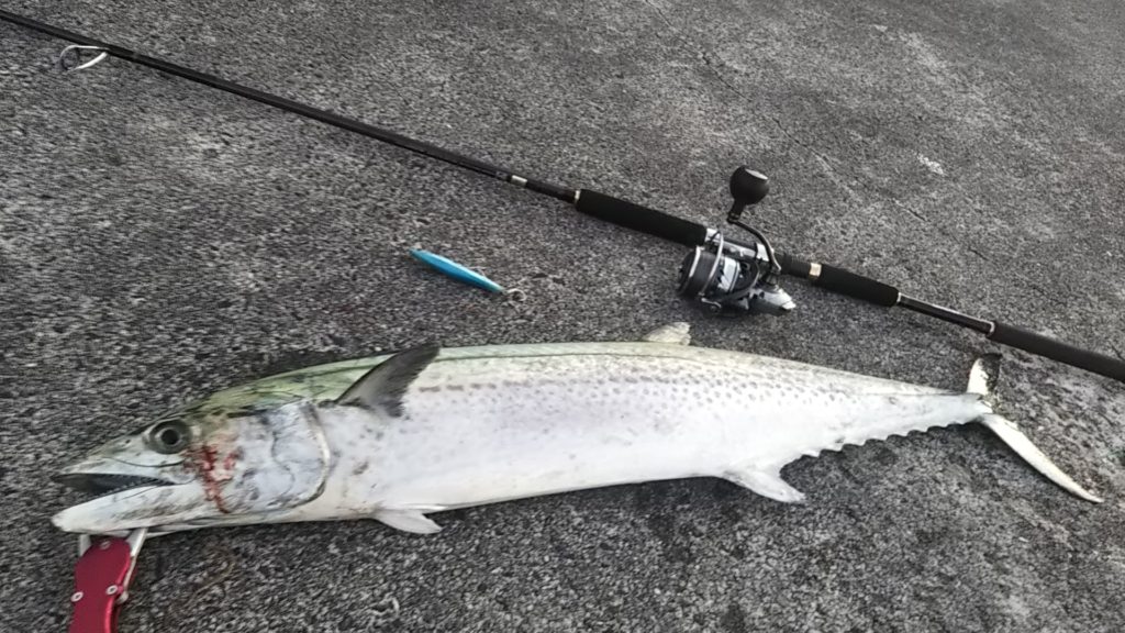 ダイワ ジグキャスターMX 96M をレビューしてみる！【ショアジギング】