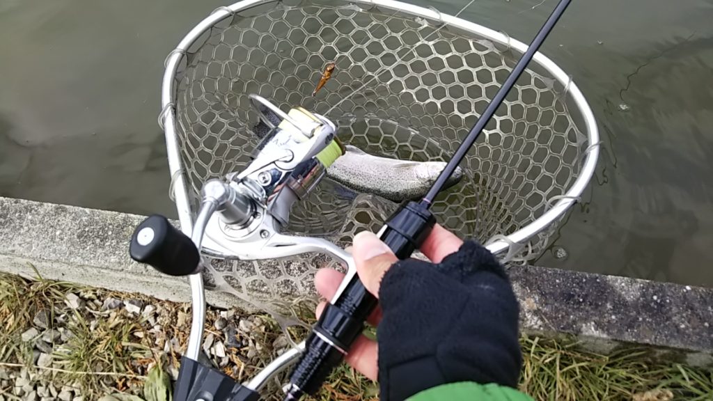 アジングロッド ラグゼ 宵姫 華S54FL-solidを管釣りで使ってみた