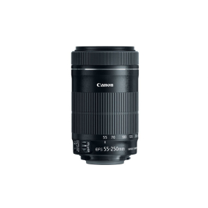 Dodd Camera - CANON 55-250mm f4-5.6 IS STM Lens | STM Telephoto