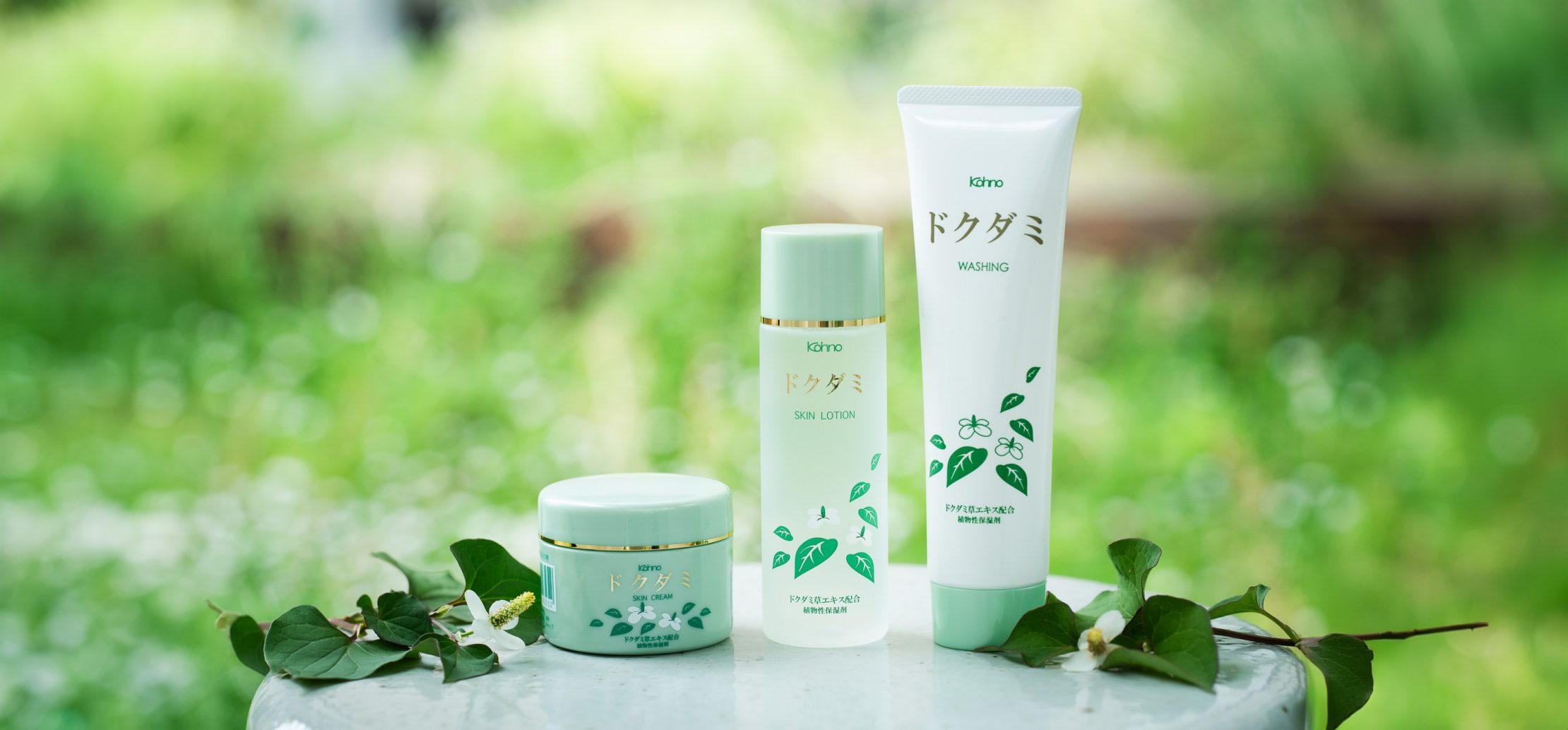 どくだみ化粧水の販売ならドクダミのコオノ | 薬用植物、天然ドクダミ