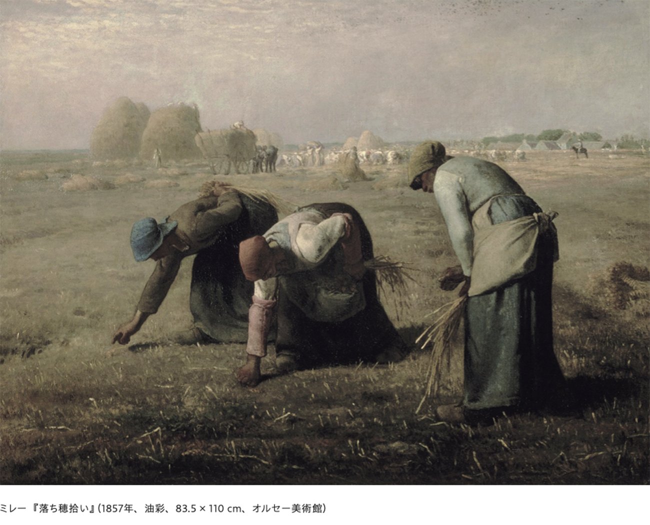 山田五郎さんに聞いてみた】ミレー『落穂拾い』。なぜ落ちた穂を拾って