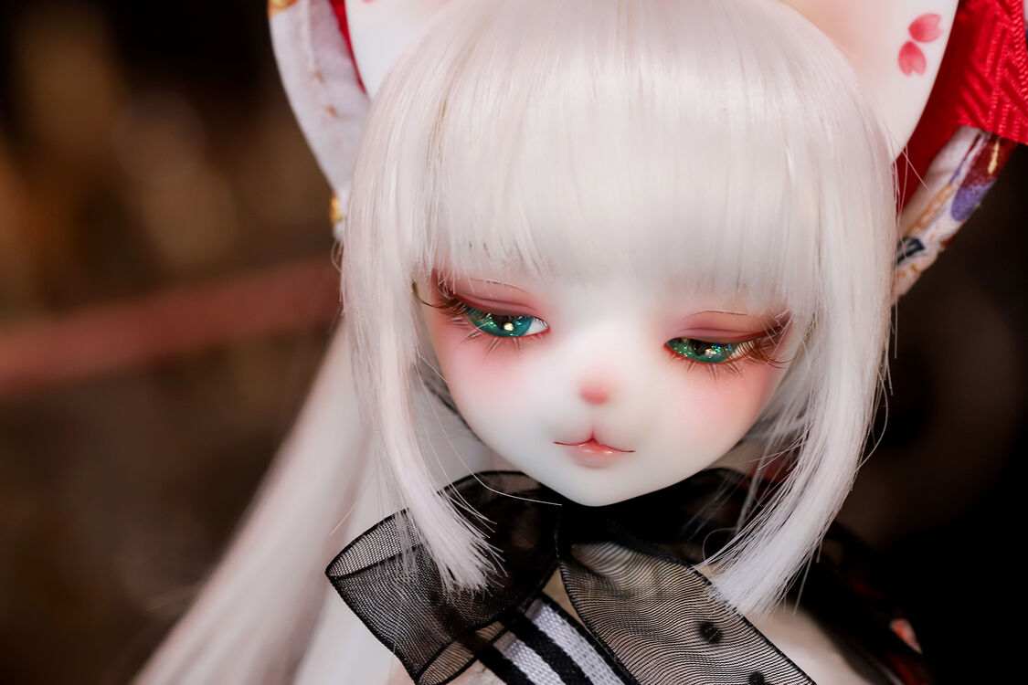 DOLK×DEAR MINE】VIVIEN L. cool 初夢 ver. Limited 世界40体限定