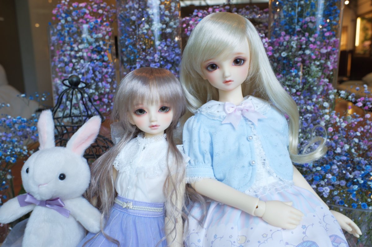 スタンダードモデル「SD まい」「SDM のあ」のご紹介 |