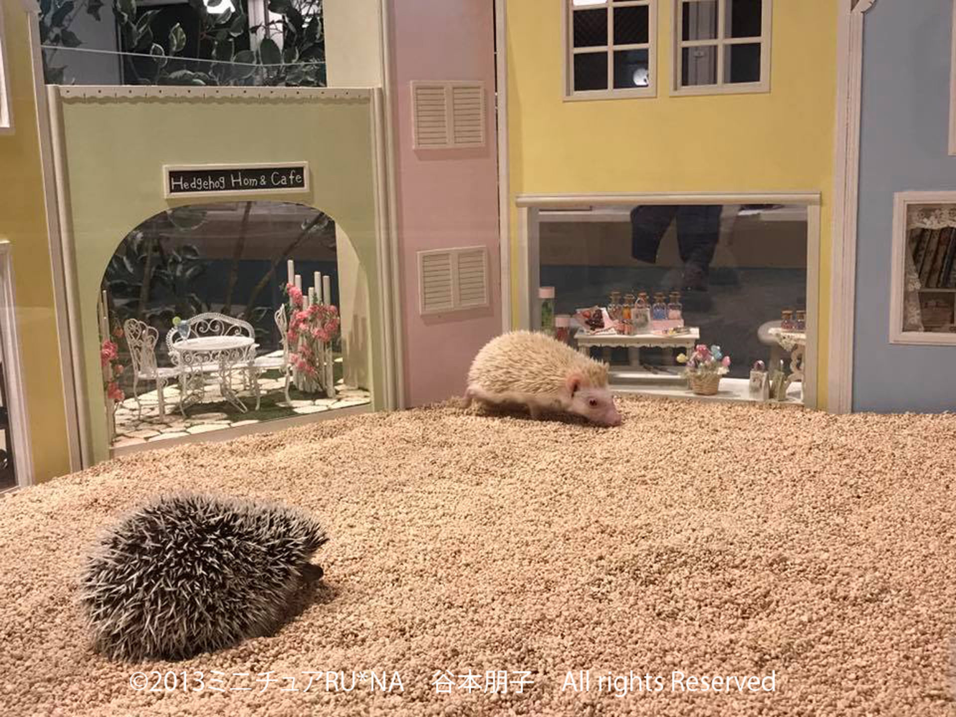 ハリネズミカフェからの依頼品 | ミニチュアドールハウス RUNA