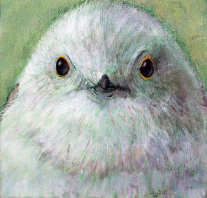 atelier*zephyr Portrait of birds #001 「シマエナガ」 – Dohjidai