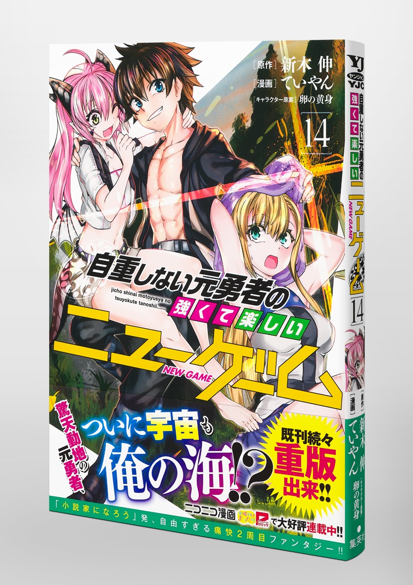 自重しない元勇者の強くて楽しいニューゲーム 14／ていやん／新木 伸