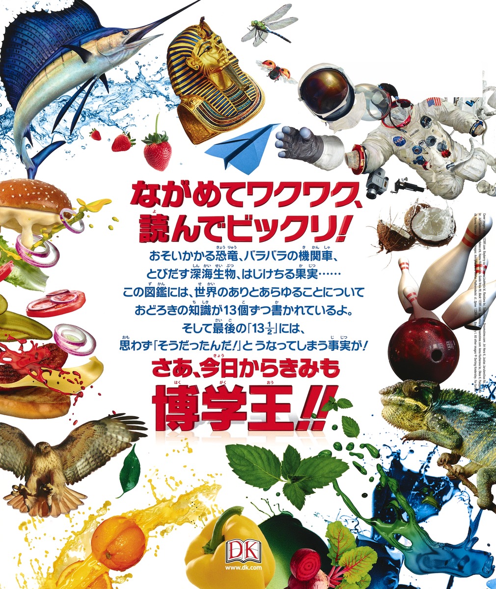 博学王 13 1／2のビックリ大図鑑／DK社／植村 久美子／大作 道子／蒲池