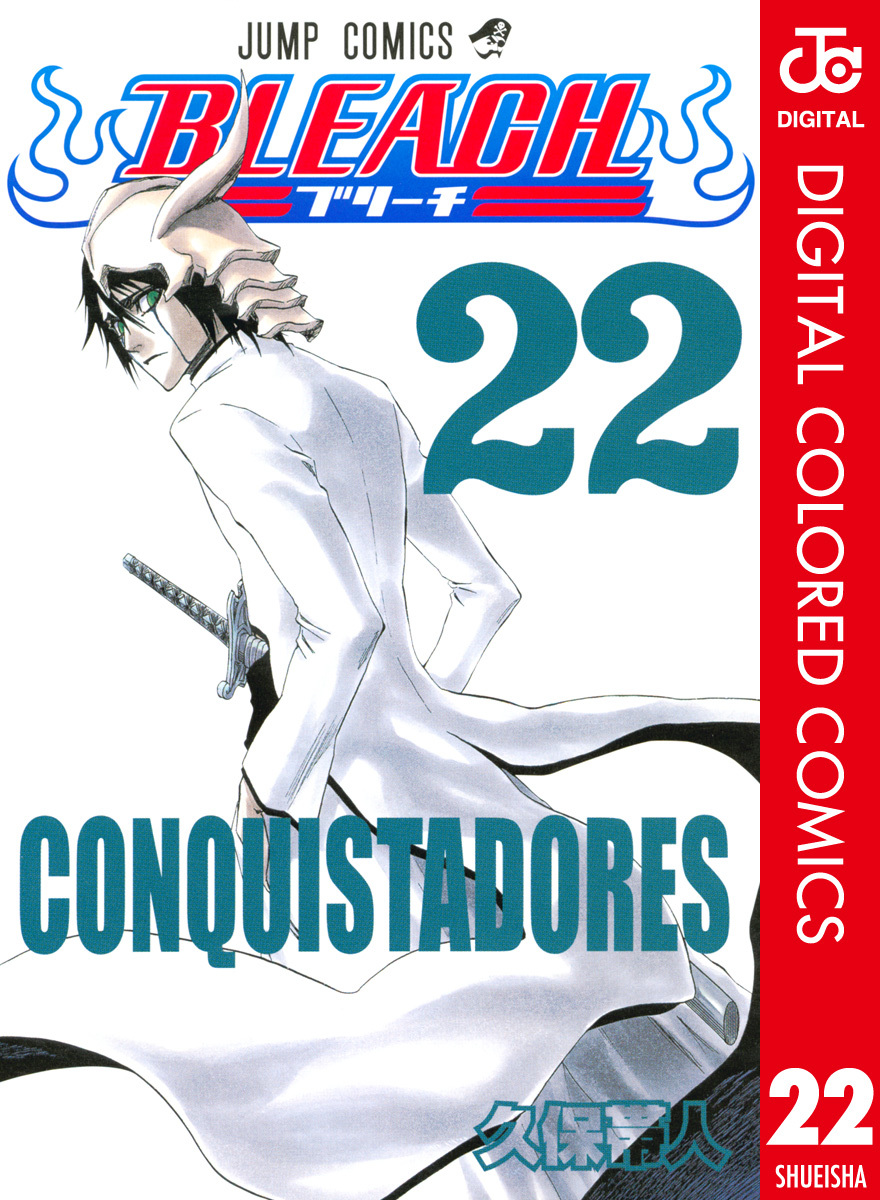 BLEACH カラー版 22／久保帯人 | 集英社 ― SHUEISHA ―