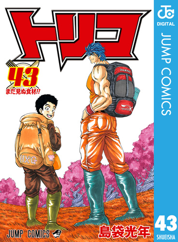 トリコ モノクロ版 43／島袋光年 | 集英社 ― SHUEISHA ―