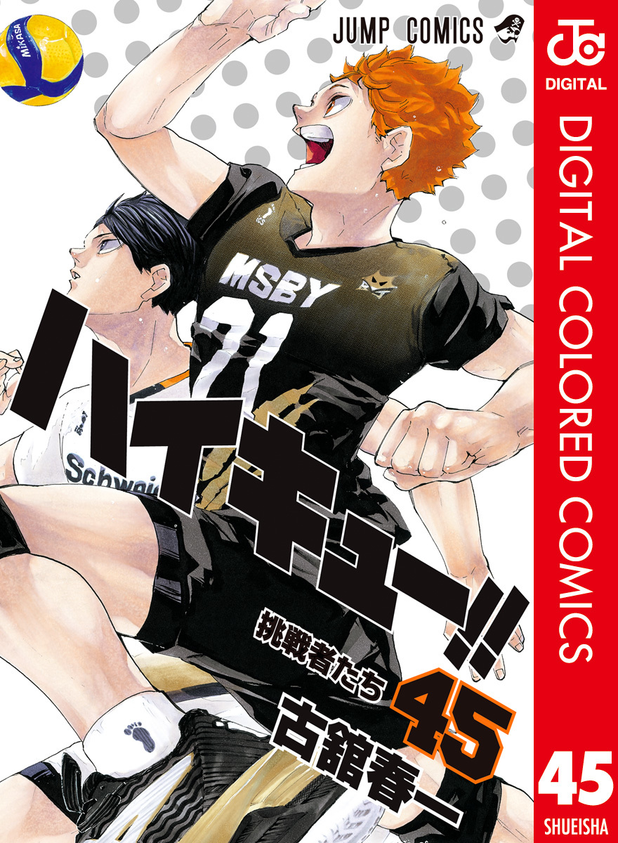 ハイキュー‼︎ 1〜19巻 極希少！！全巻初版！！ハイキュー