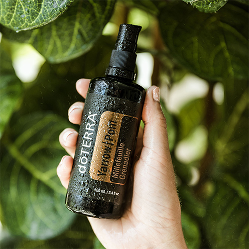 Yarrow|Pom Body Renewal Serum Uses and Benefits | doTERRA