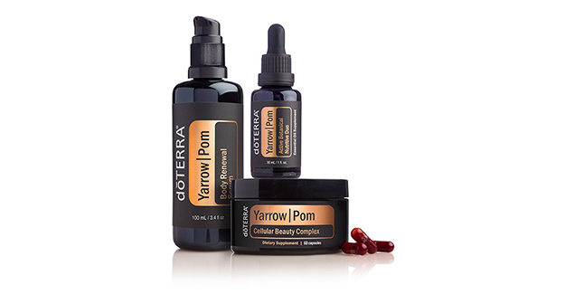 Yarrow|Pom Collection | doTERRA Essential Oils