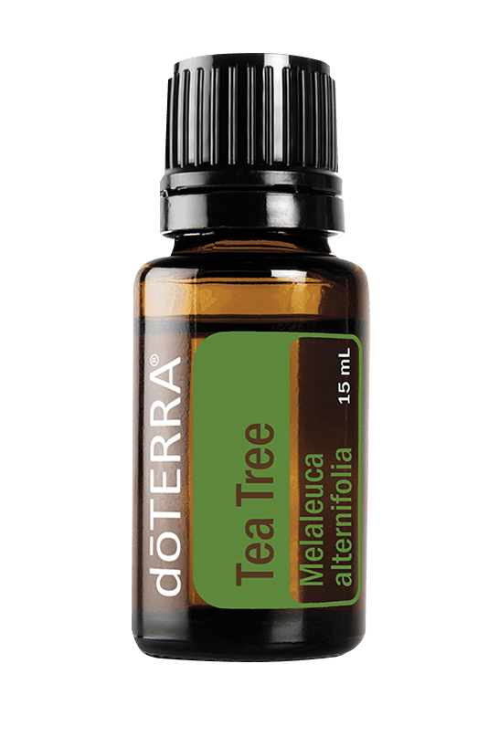 Tea Tree Oil | doTERRA Essential Oils