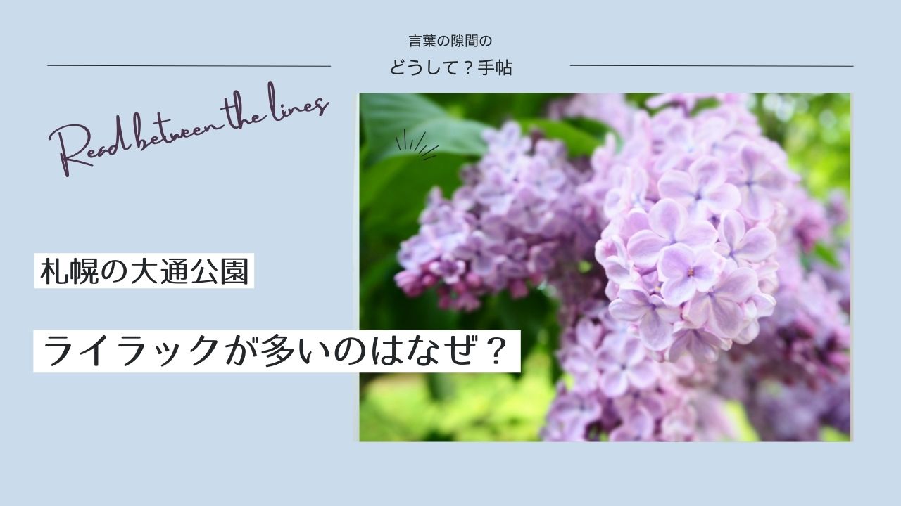 札幌にライラックが多い理由とは？北海道以外でも見られる？2025年