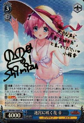 迷宮に咲く花幸(GRI/S84-102) | RR | ドラゴンスター | ヴァイス