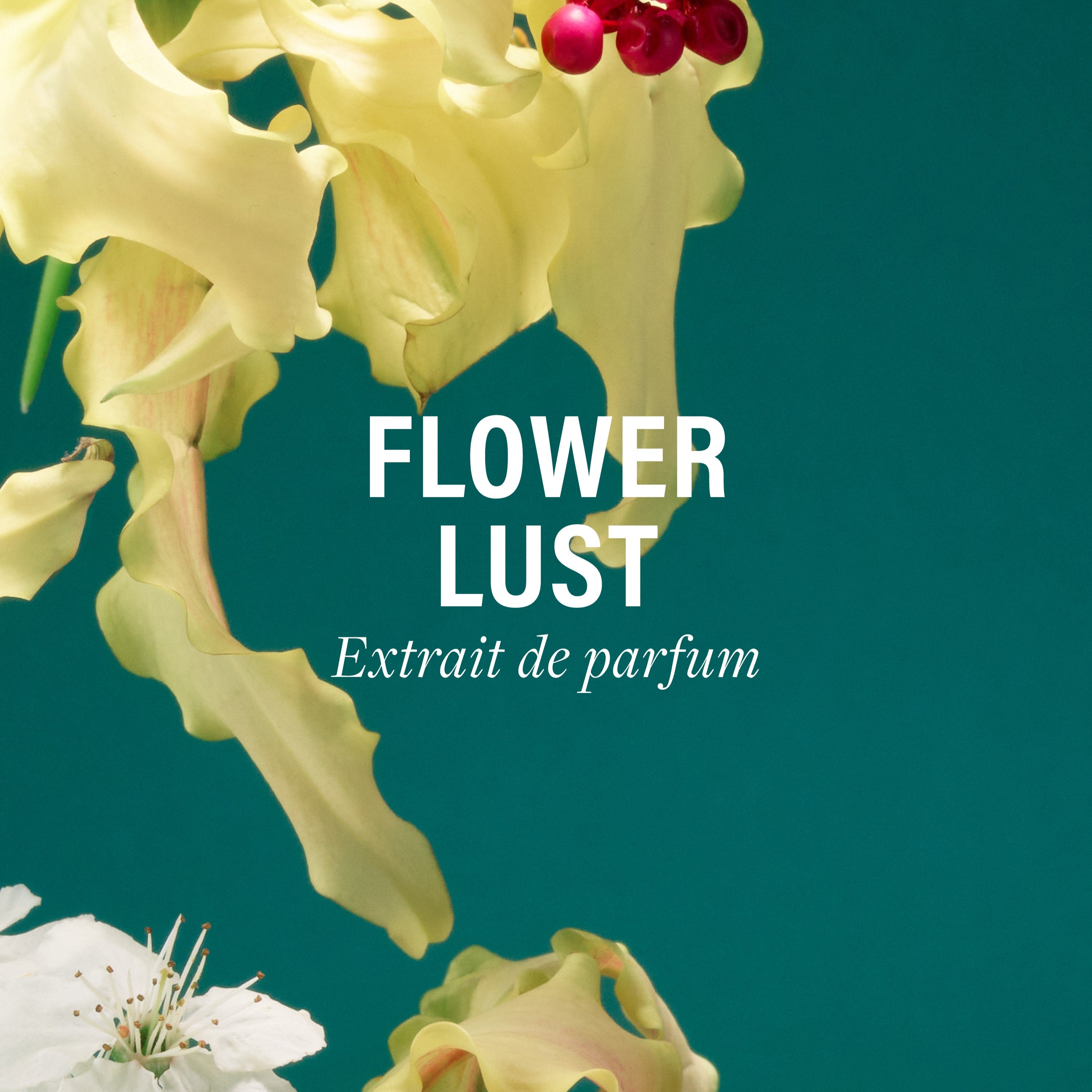 Flower Lust ボディフレグランス - ドルセー ジャパン (d'Orsay Japan