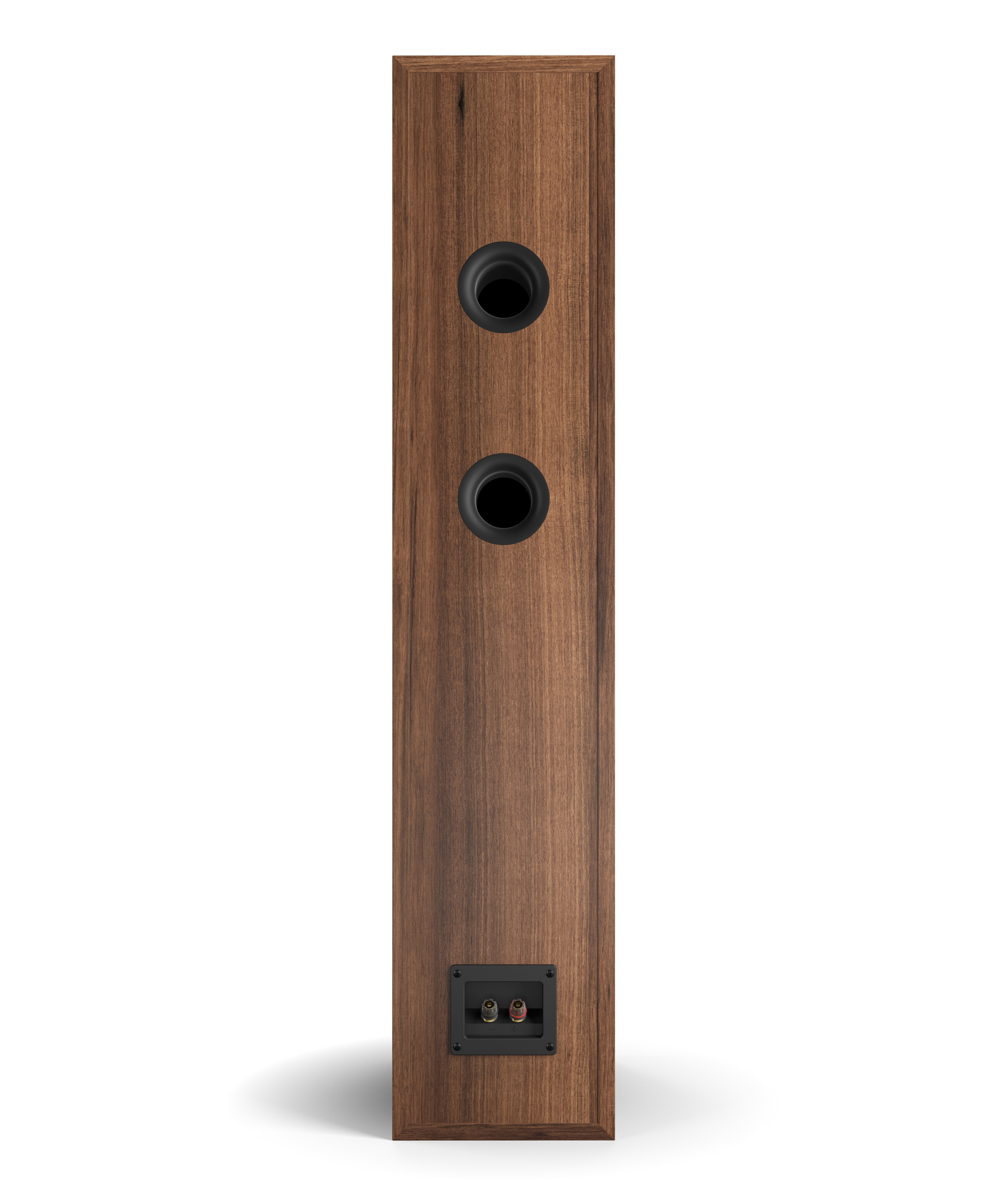 SPEKTOR 6|DALIオフィシャルサイト