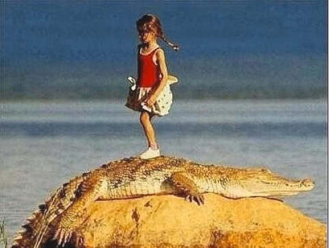 アフリカの動物と共に育ったフランス人の女の子「ティッピ(Tippi)」の