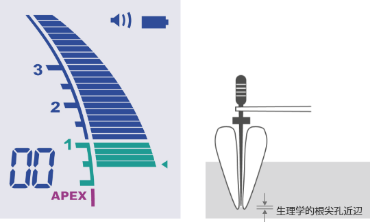 ルートZX mini ＃｜オンラインカタログ internet DO【株式会社