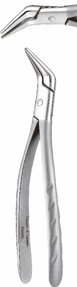 抜歯鉗子 残根用 新型｜オンラインカタログ internet DO【株式会社モリタ】