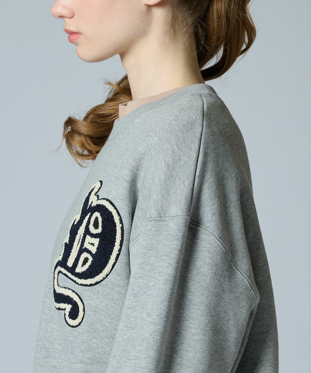 DSC / Dワッペン 裏起毛プルオーバー(WEB限定) TOPS Night STORE