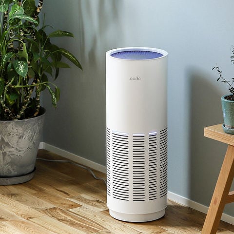 dショッピング |［ cado LEAF 320 ］カドー 空気清浄機 除菌 脱臭 花粉