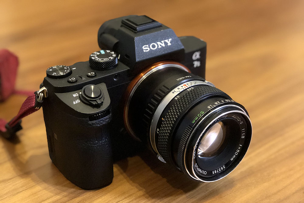 SONY FE50mm F1.8と、オールドレンズOLYMPUS F.ZUIKO 50mm F1.8を撮り