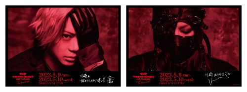 ミュージック TheBrowBeat DVD The Brow Beat】LIVE DVD『The Brow