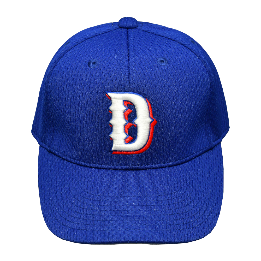 プロモデル | 中日ドラゴンズオフィシャルグッズショップ