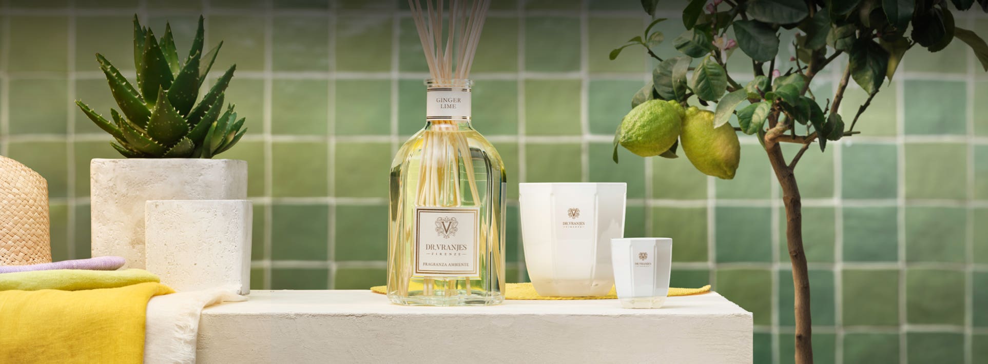 Dr. Vranjes Firenze ® Dr. Vranjes ONLINE GINGER LIME 〈ジンジャー