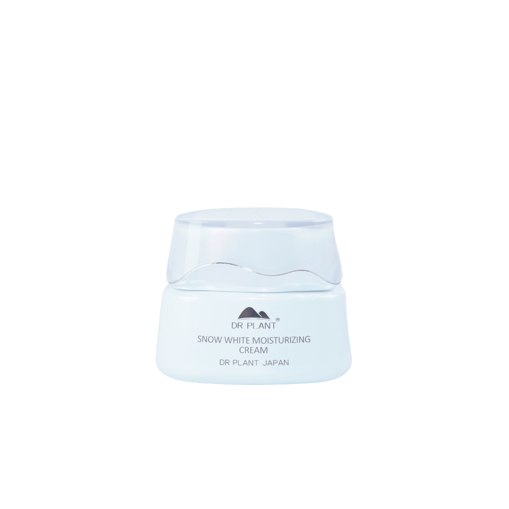 product-445185.png?v=