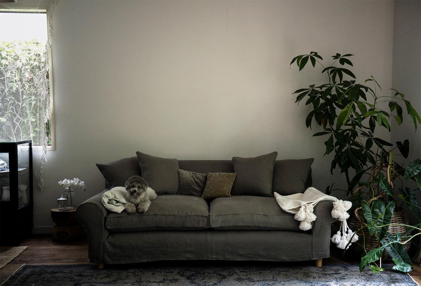 ザ・コンランショップ、 フェザークッションを使用したモダンな一人人