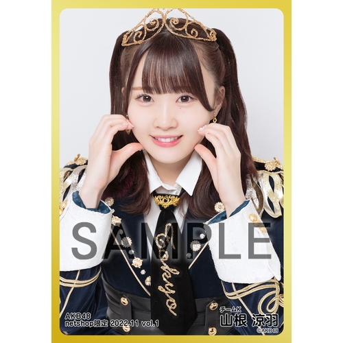 予約商品】AKB48 2022年11月度 net shop限定個別生写真5枚セットvol.1