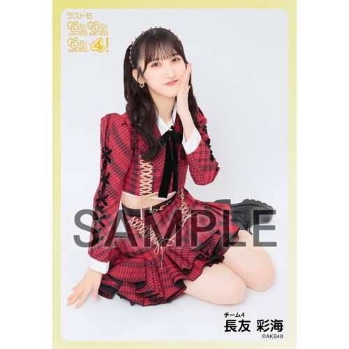 予約商品】AKB48 現チームファイナルコンサート2023 個別生写真5枚