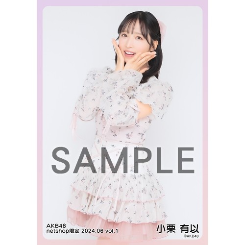 予約商品】AKB48 2024年6月度 net shop限定個別生写真5枚セットvol.1