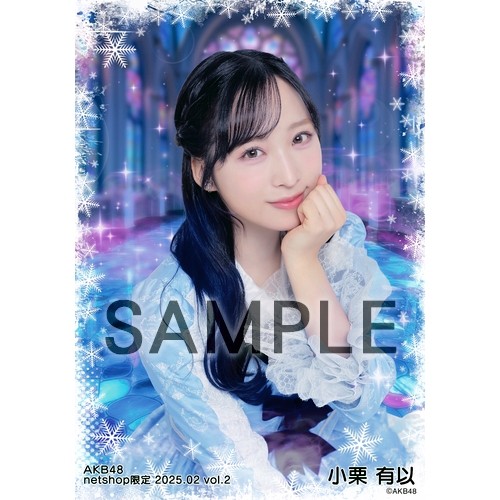 予約商品】AKB48 2025年2月度 net shop限定個別生写真5枚セットvol.2