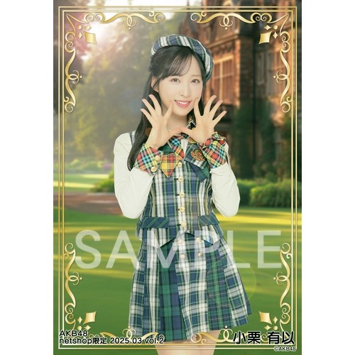 予約商品】AKB48 2025年3月度 net shop限定個別生写真5枚セットvol.2