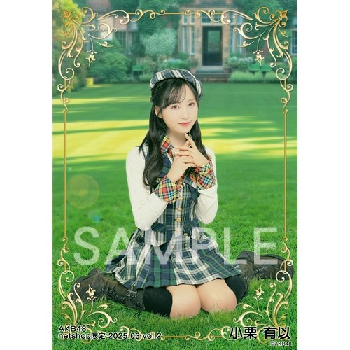 予約商品】AKB48 2025年3月度 net shop限定個別生写真5枚セットvol.2