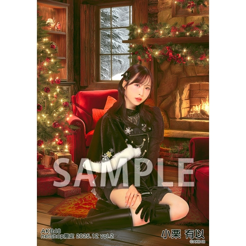 予約商品】AKB48 2025年12月度 net shop限定個別生写真5枚セットvol.2