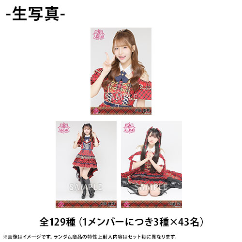 AKB48 20th Year Live Tour 2025 in 日本武道館 20周年記念 赤チェック