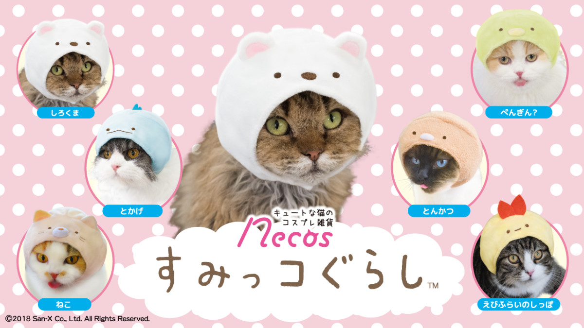 猫をすみっコでコスプレ！グレイパーカーサービス「necosすみっコぐらし™」