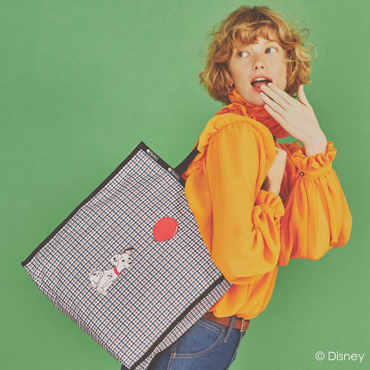 101匹わんちゃん・おしゃれキャット・ダンボのバッグ