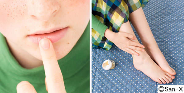 乾燥した季節のかわいい味方！フェリシモ「リラックマ フルーツ香る