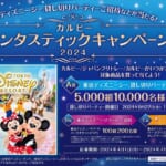 東京ディズニーシー貸し切りパーティーなどが当たる！「カルビー
