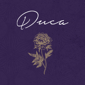 misty moon｜ALBUM｜Duca｜Duca ∞stories